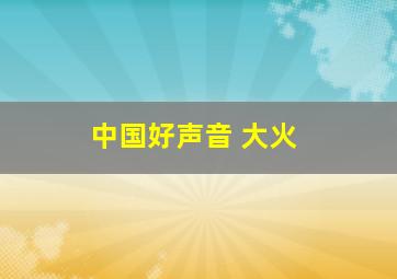 中国好声音 大火